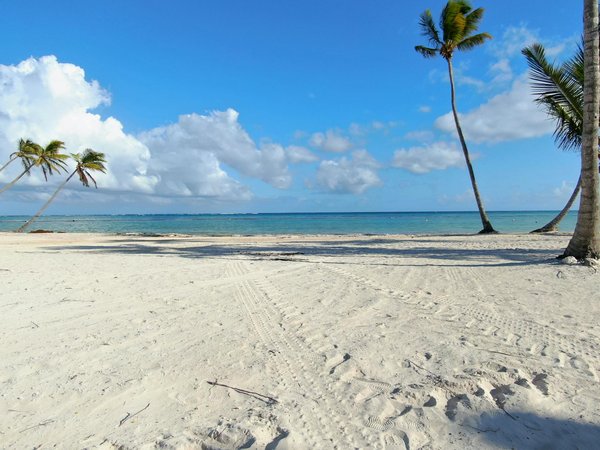 Location de salles pour événements privés à pornic : nature et charme