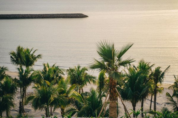 Séjournez à l'hôtel de seine : votre havre à paris 6